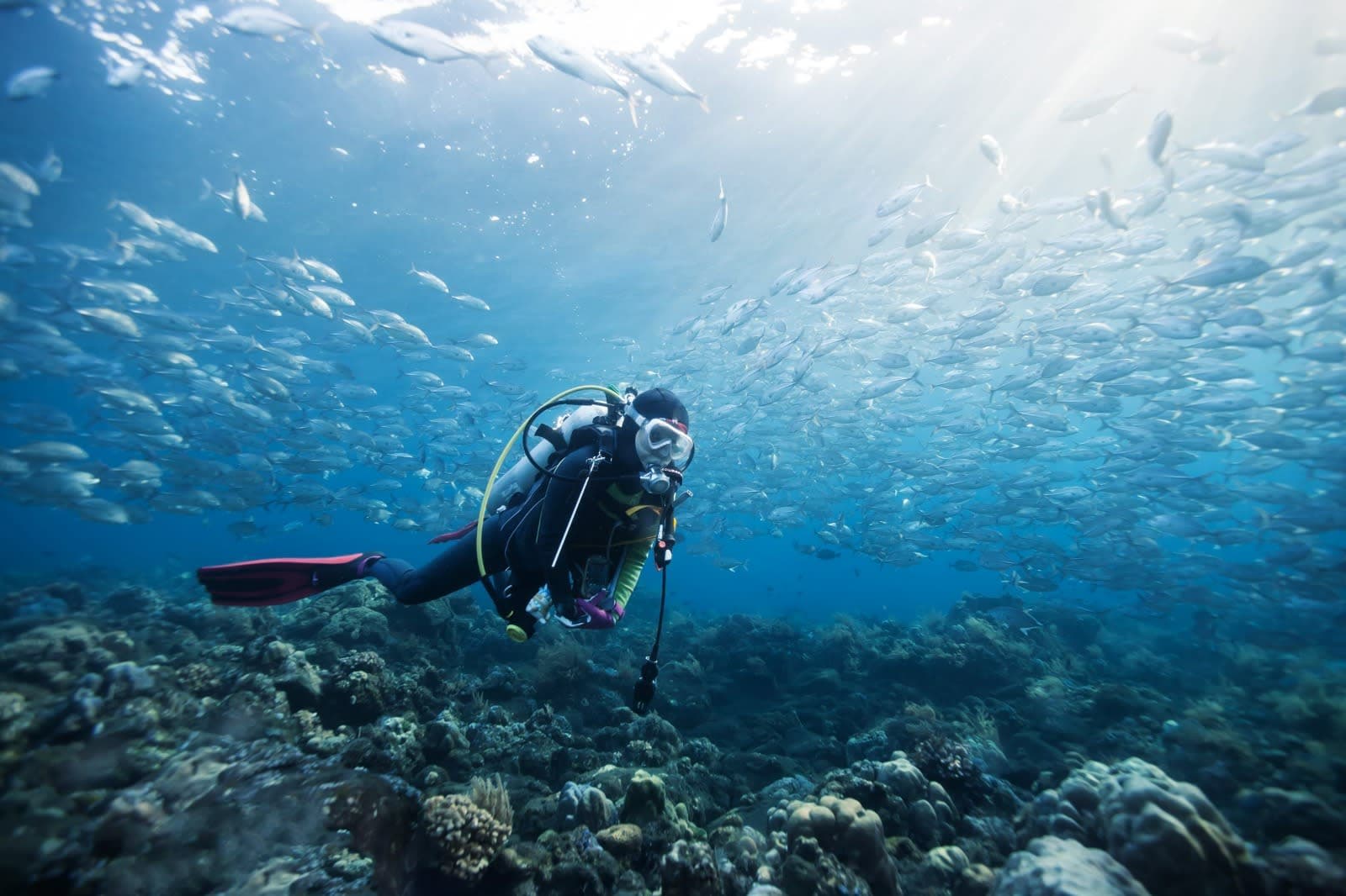MURUDESHWARA SCUBA DIVING